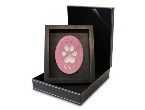 Lasting Paws Vibrant Collection - Pink Image