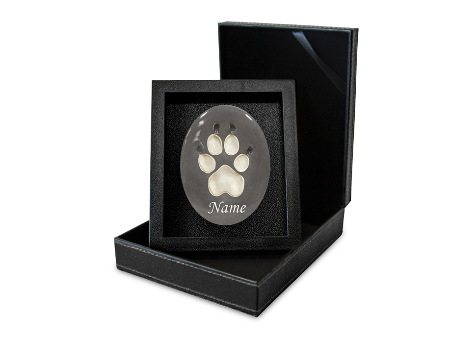 Lasting Paws Vibrant Collection - Grey Image