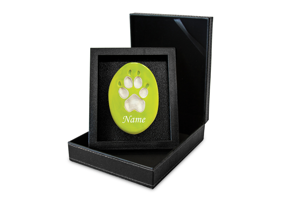 Lasting Paws Vibrant Collection - Light Green Image