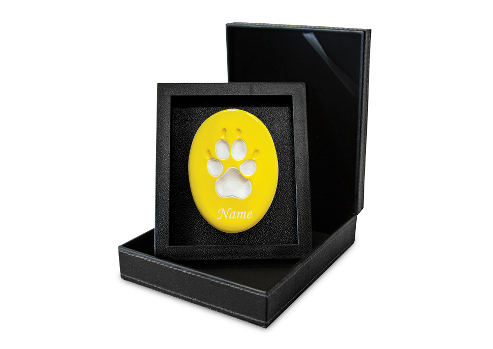 Lasting Paws Vibrant Collection - Yellow Image