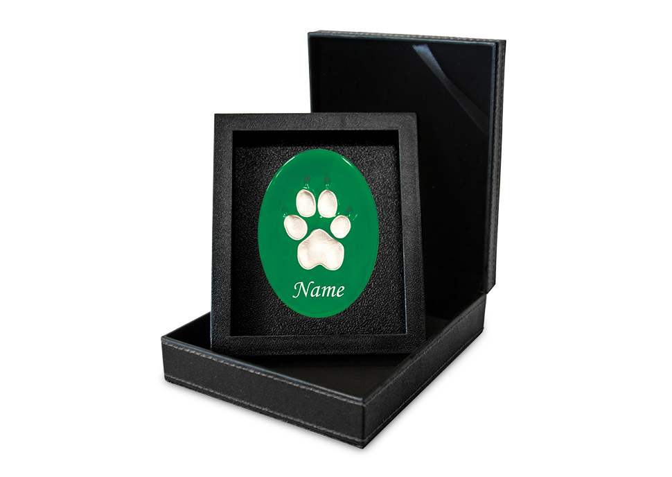 Lasting Paws Vibrant Collection - Green Image