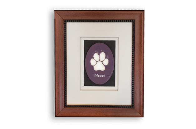 Paw Print Frame Image