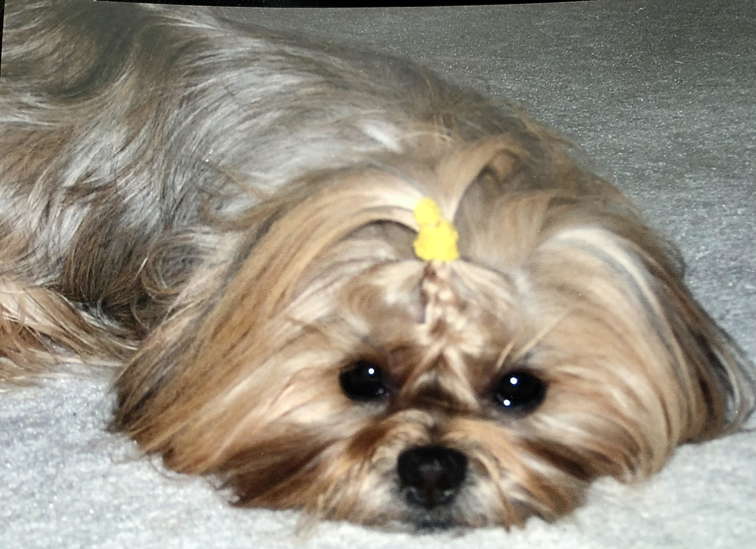 Lily Gateway Pet Memorial