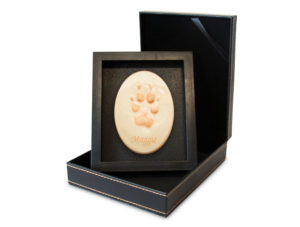 Lasting Paws Contour- Orange-image