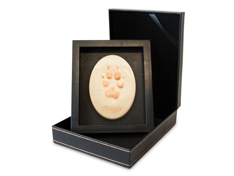 Lasting Paws Contour- Orange Image