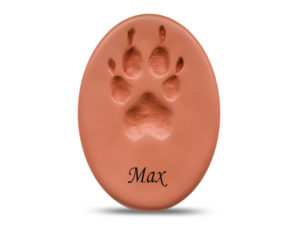 Precious Paw - Clear Coat - Only available in ON-image