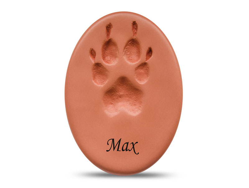Precious Paw - Clear Coat - Only available in ON-image