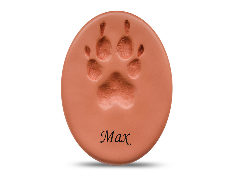 Precious Paw - Clear Coat Image