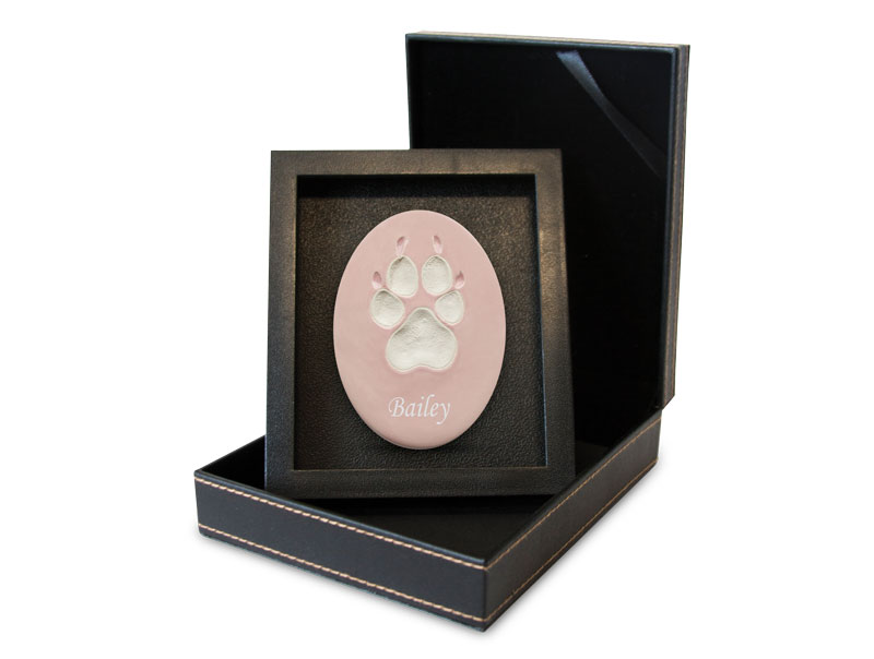 Lasting Paws Vibrant Collection - Pink Image