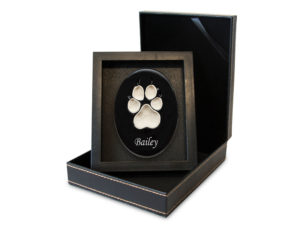 Lasting Paws Vibrant- Black-image