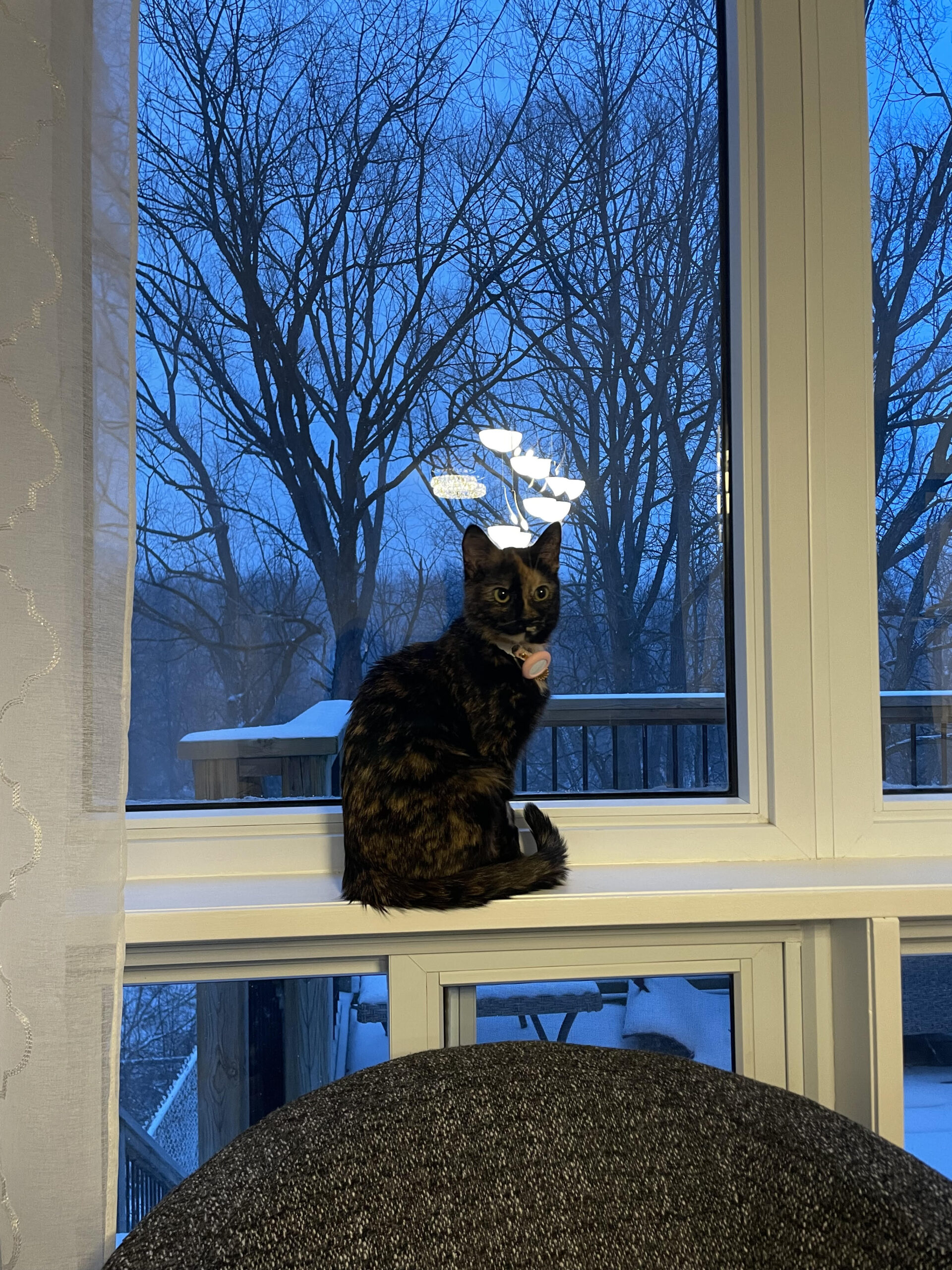 Brandy Gateway Pet Memorial