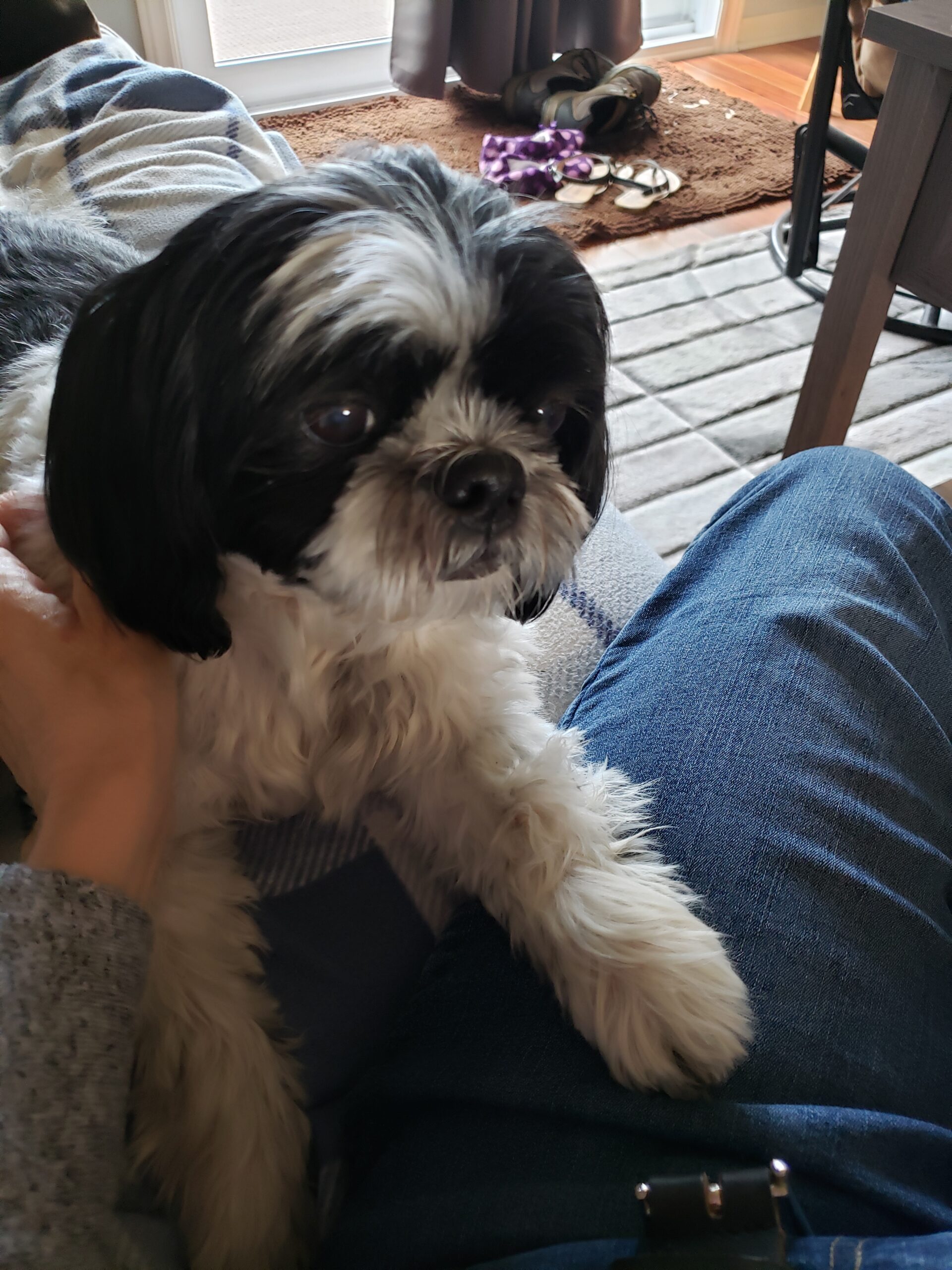 jake Gateway Pet Memorial