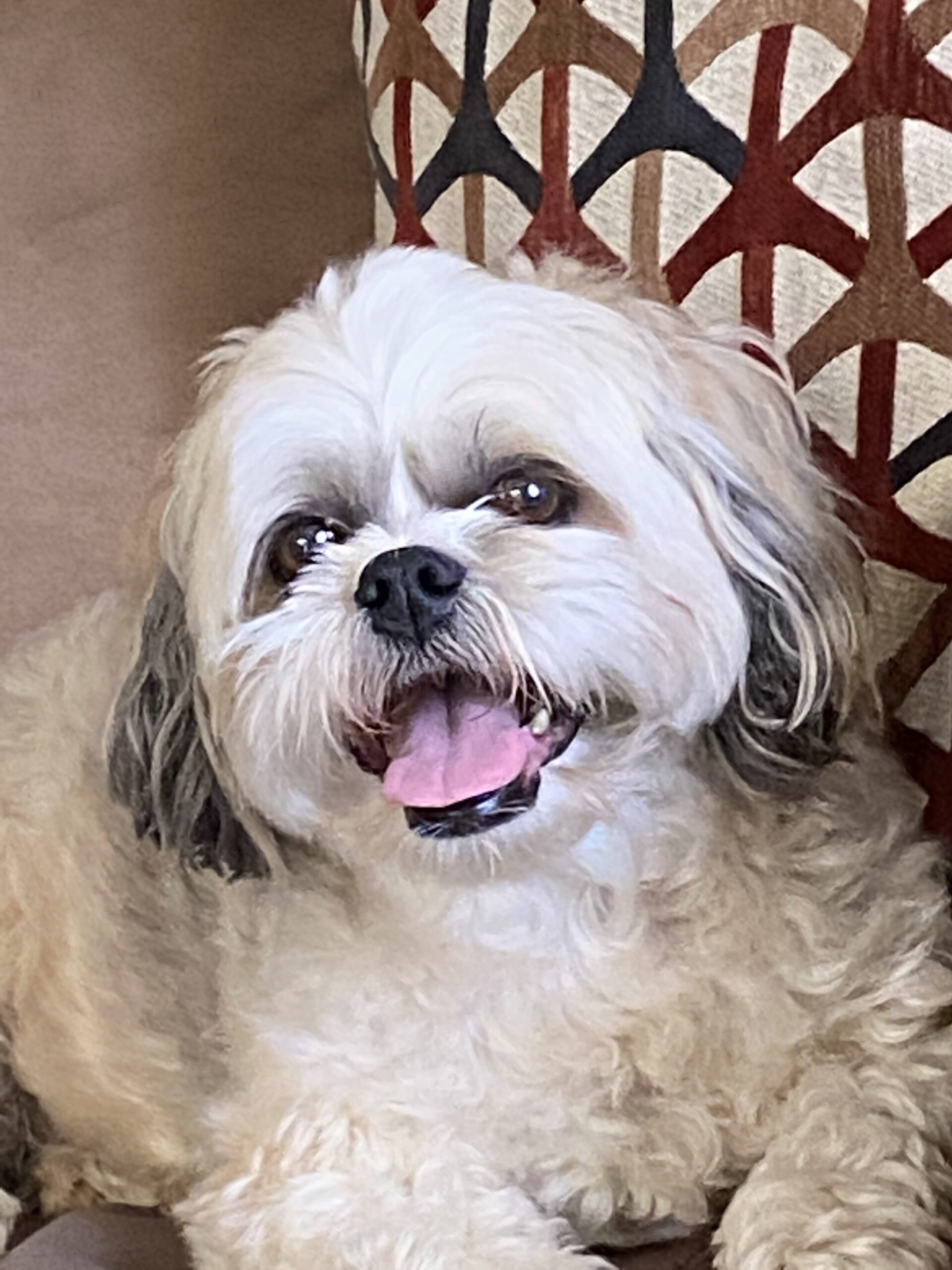 Jack Gateway Pet Memorial