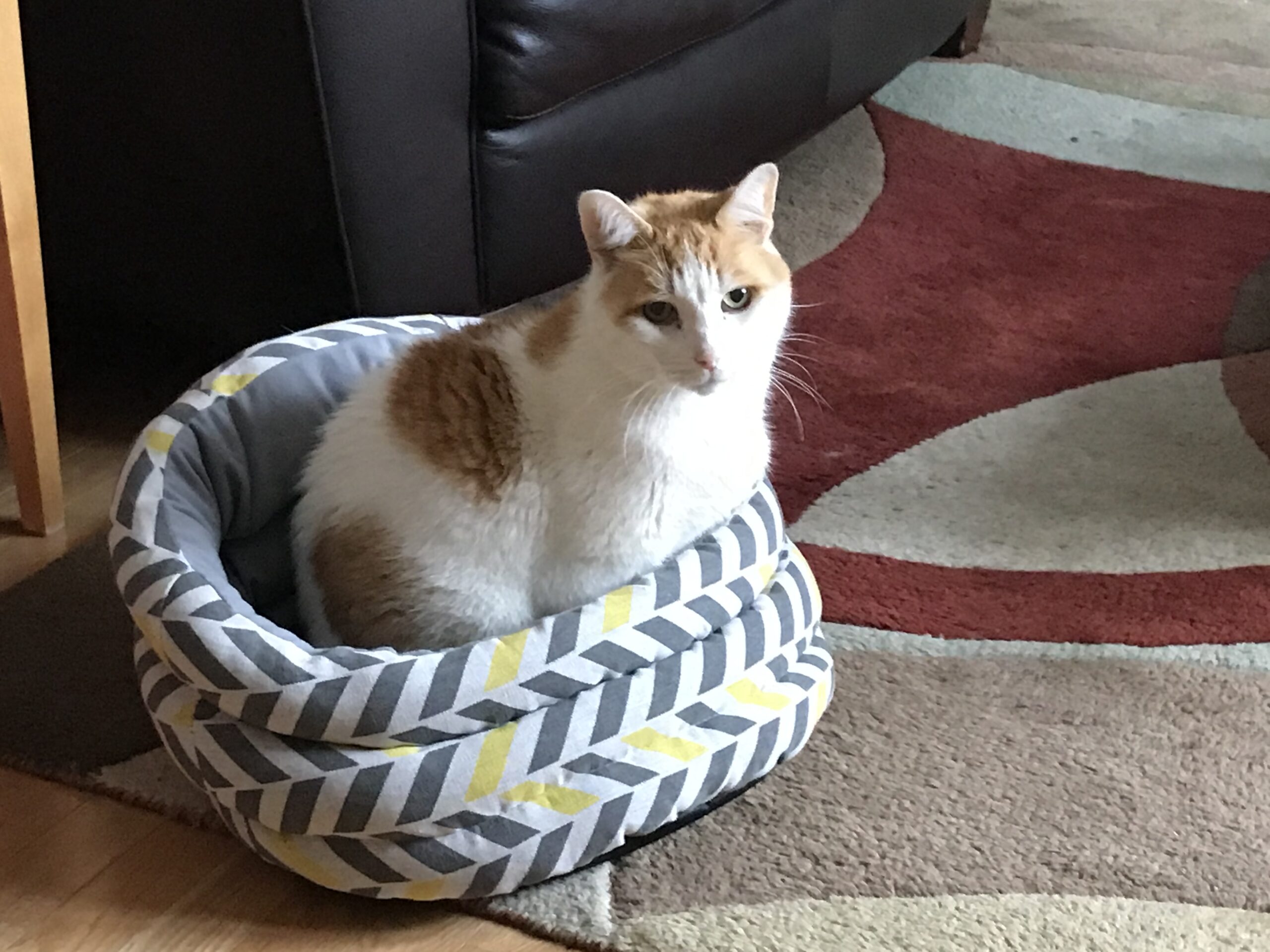 Maurice (Moo) Gateway Pet Memorial