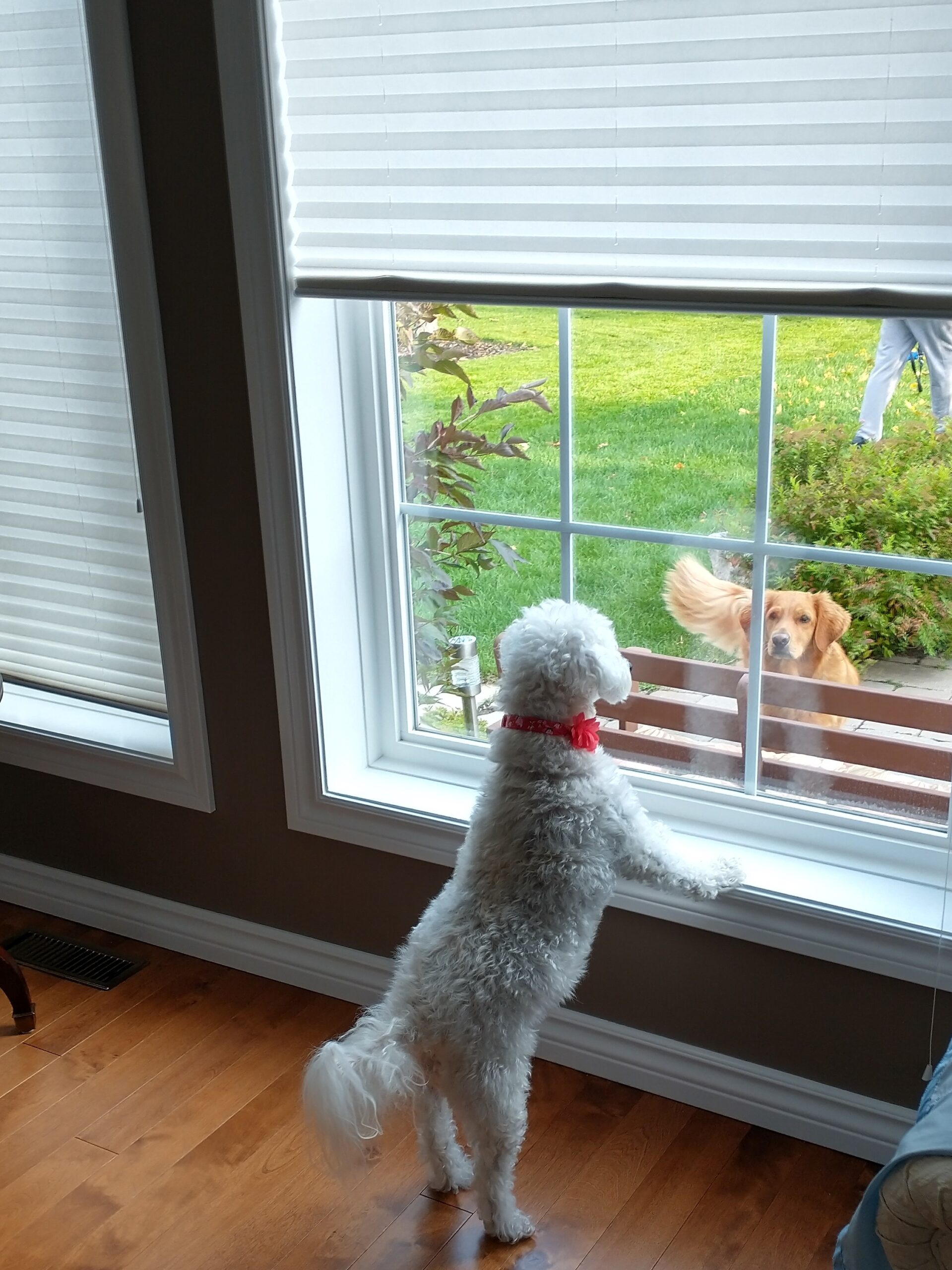 Abigail Gateway Pet Memorial