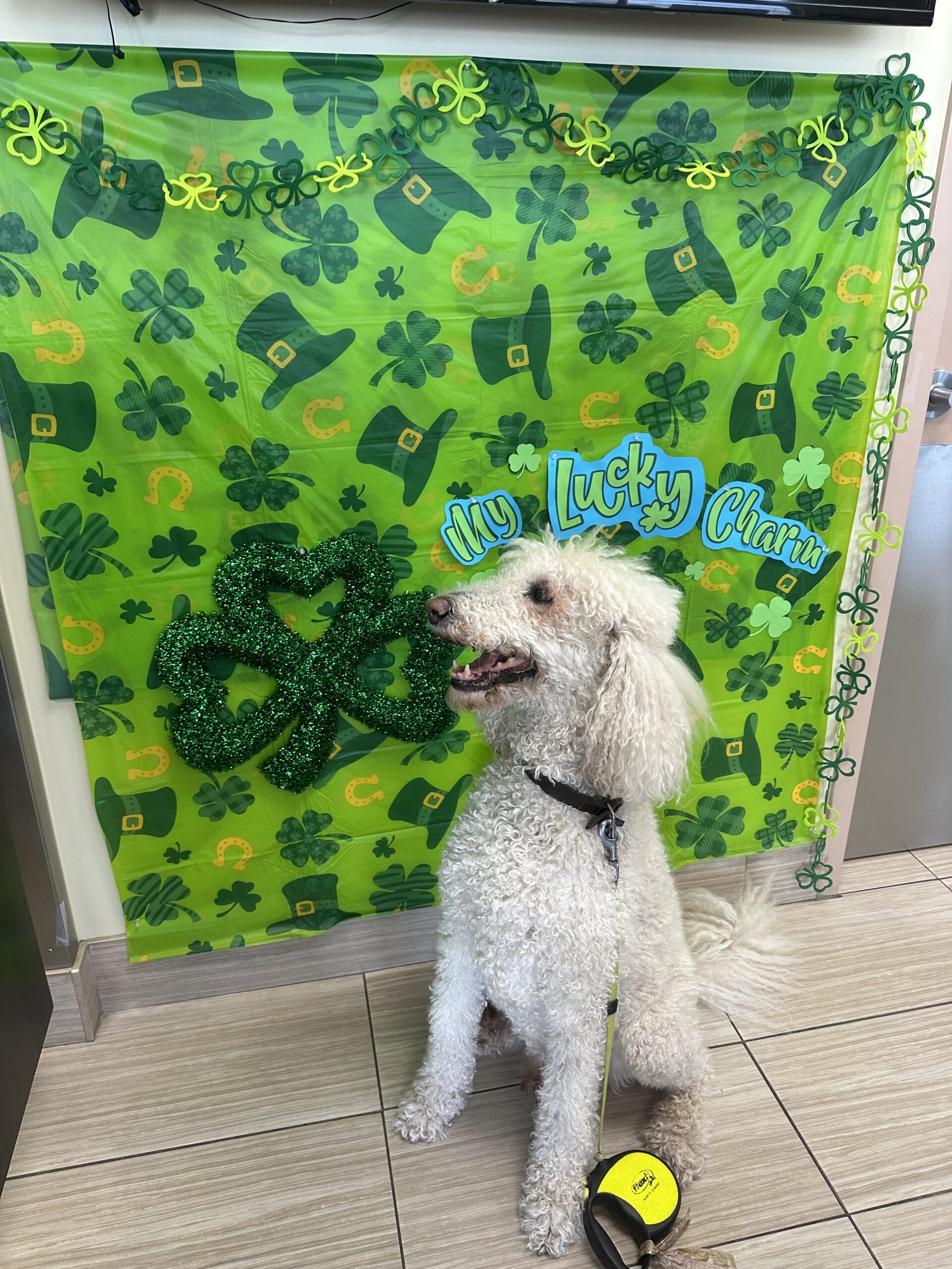 DESMOND Gateway Pet Memorial