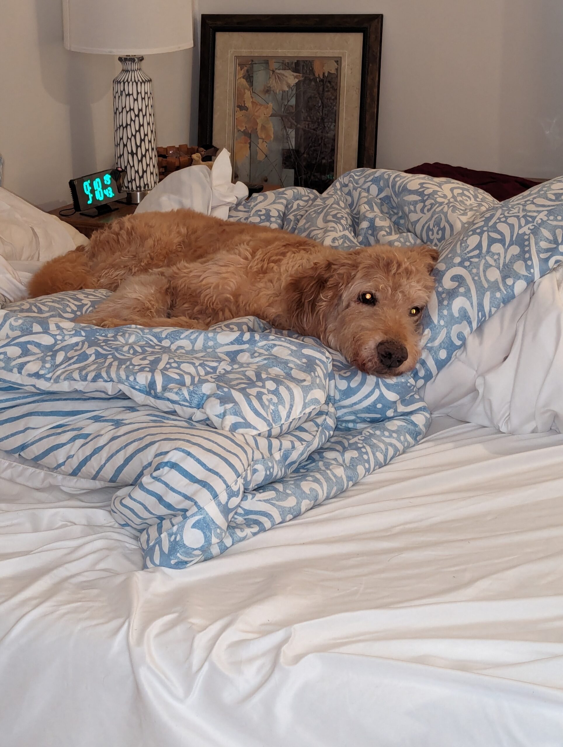 Sid Gateway Pet Memorial