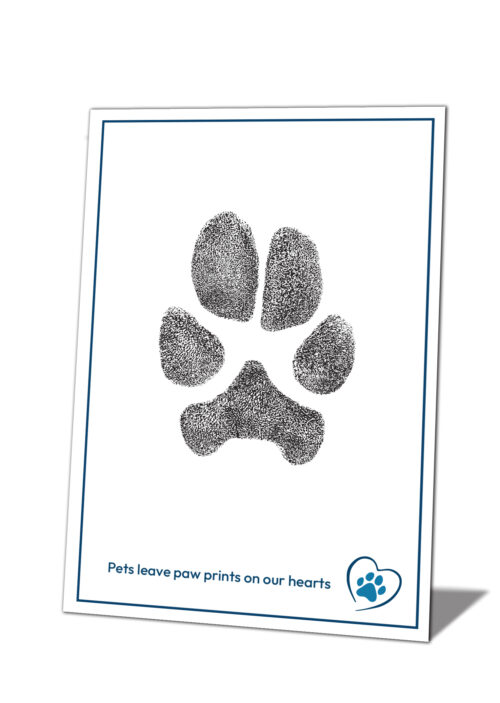 Digital Ink Prints - Nose or Paw-image