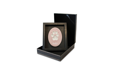 Lasting Paws Vibrant Collection - Pink-image